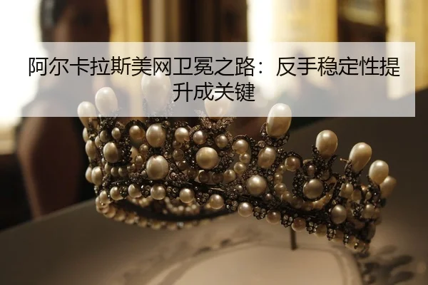 a-er-ka-la-si-mei-wang-wei-mian-zhi-lu-fan-shou-wen-ding-xing-ti-sheng-cheng-guan-jian-2-559.jpg