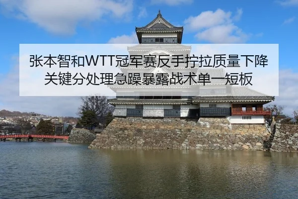 张本智和WTT冠军赛反手拧拉质量下降关键分处理急躁暴露战术单一短板