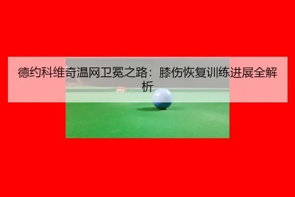 德约科维奇温网卫冕之路：膝伤恢复训练进展全解析