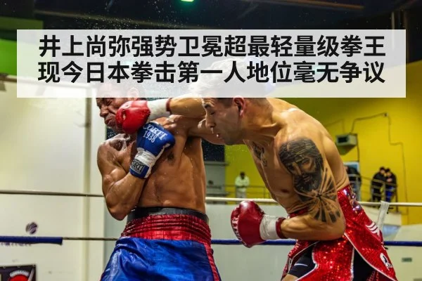 boxing knockout punch