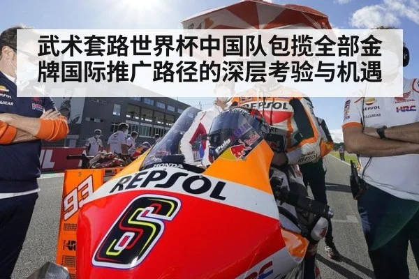 武术套路世界杯中国队包揽全部金牌国际推广路径的深层考验与机遇